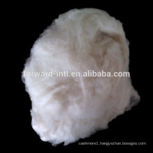 100% cashmere fiber white with factory price